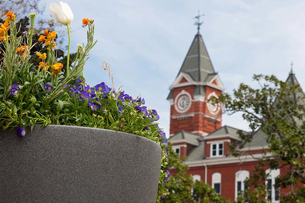 Auburn University Homepage | Auburn University · Twitter
