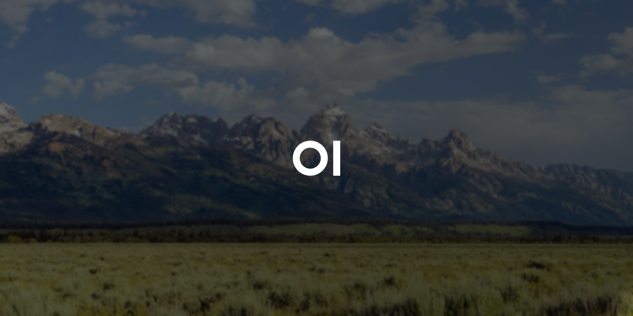 Open WebUI: Self-Hosted AI Platform · Twitter