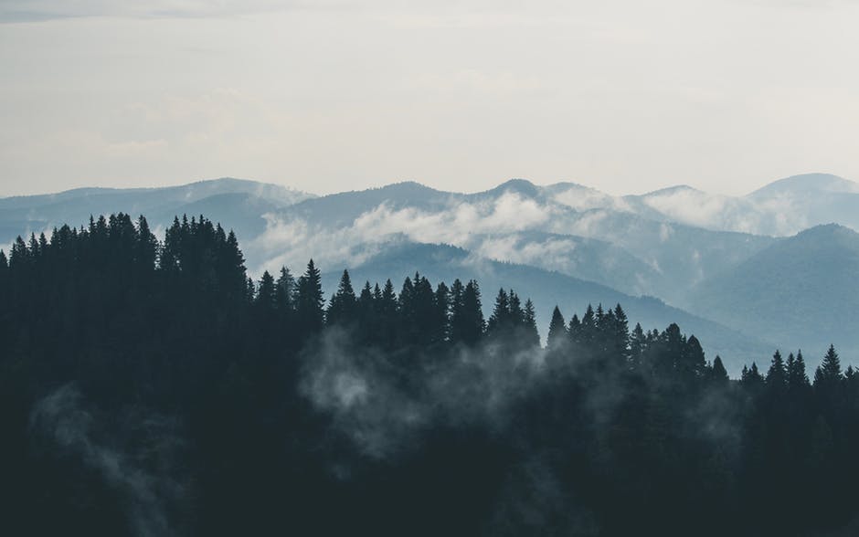 Pixel Mob - Royalty-Free Stock Photos · Twitter