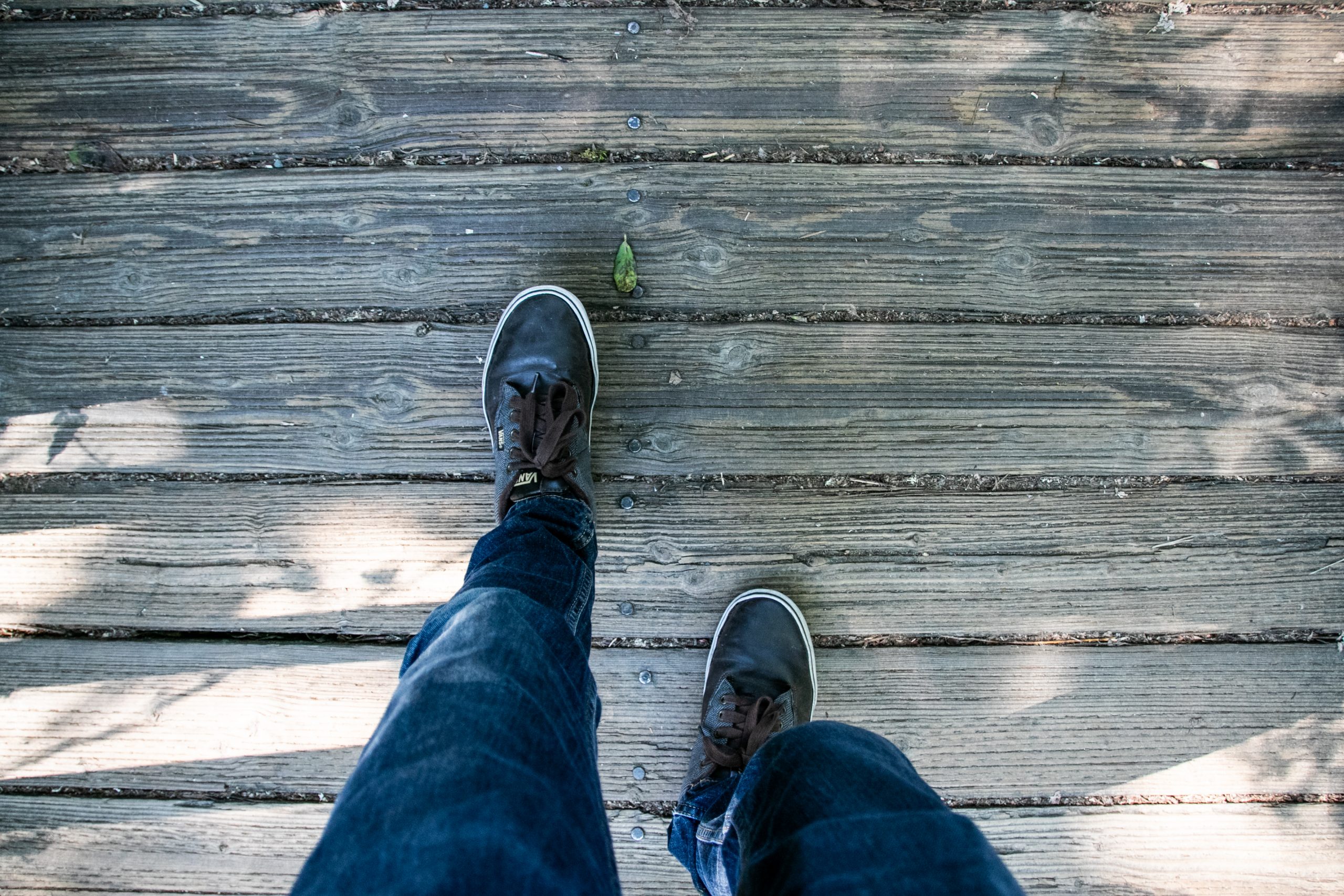 Good Stock Photos - Download Free Stock Photos to Use Anywhere · Twitter