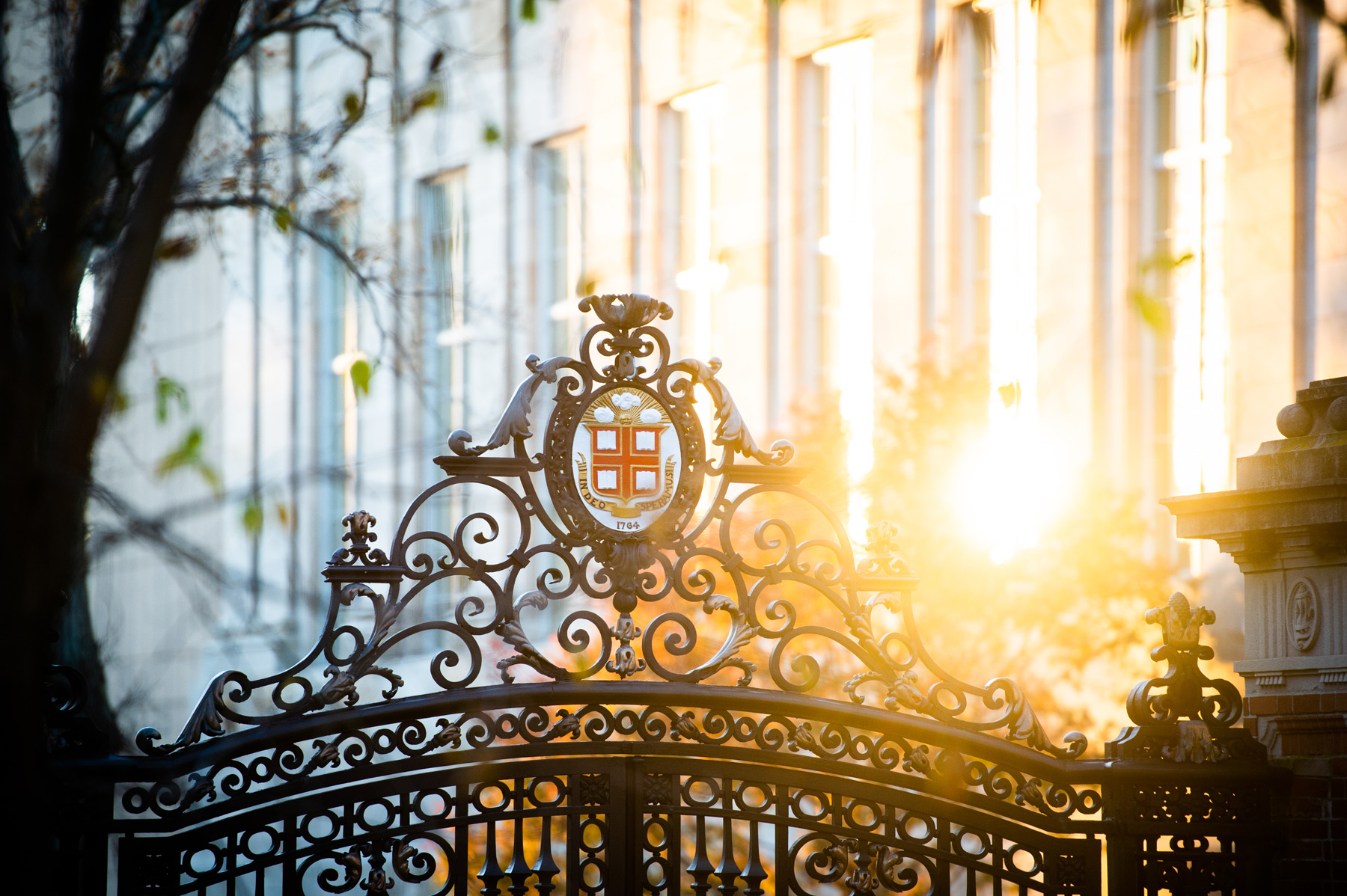 Brown University · Twitter