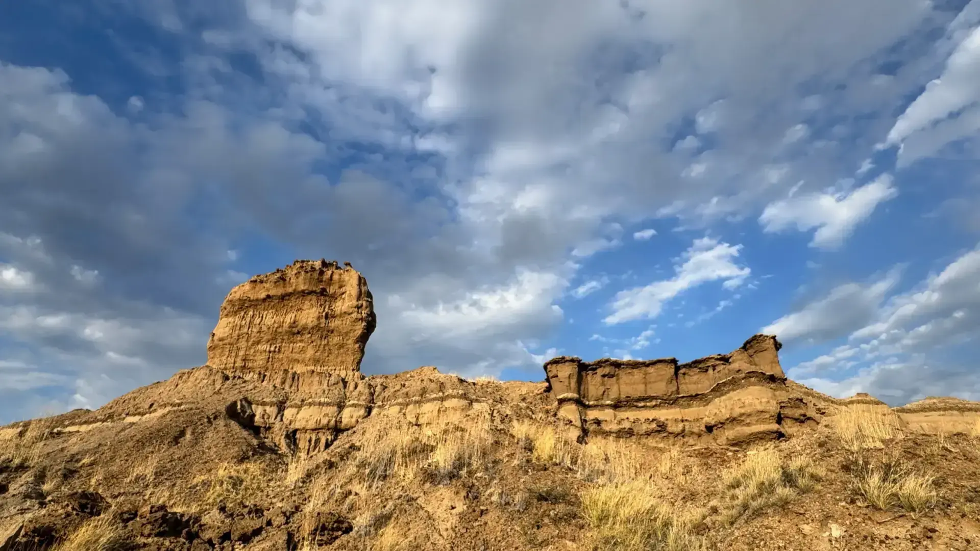 Leakey Journeys - Exploring Human Origins · Twitter