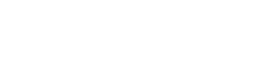 University of Louisville Logo