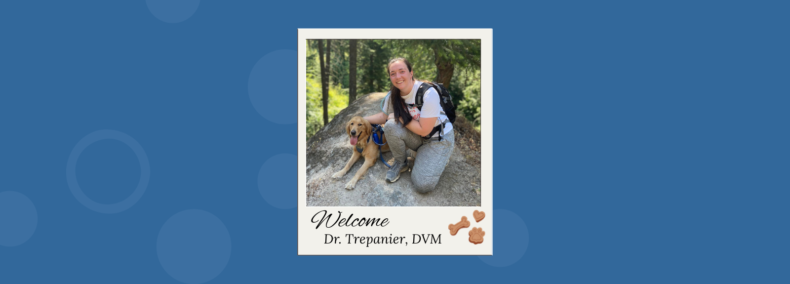 Veterinarian in Mesa, Arizona | Alta Mesa Animal Hospital · Twitter