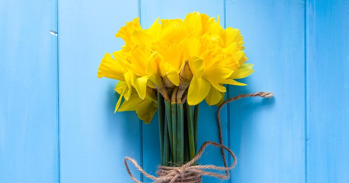 Canadian Cancer Society · Twitter