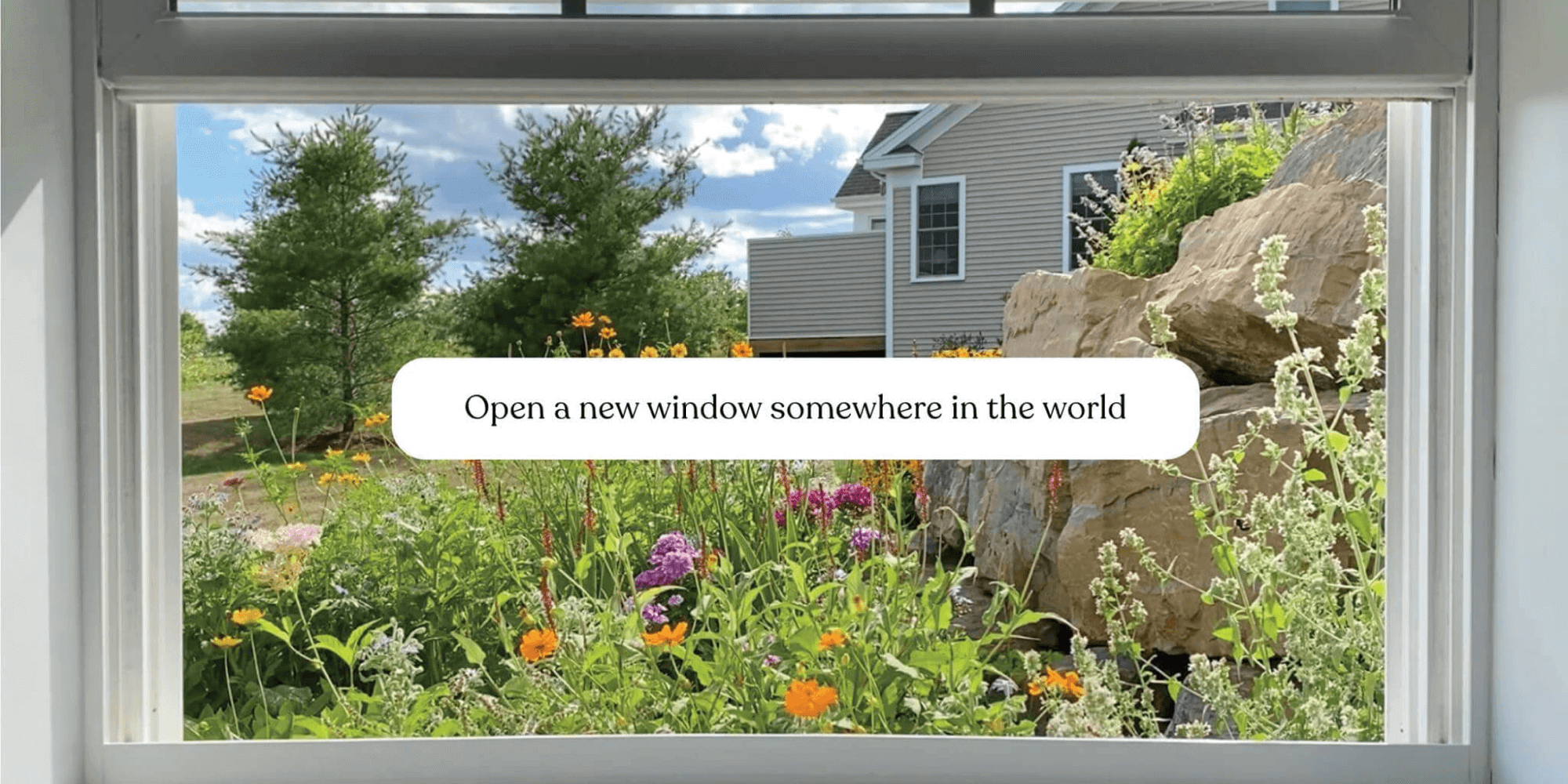 WindowSwap · Twitter