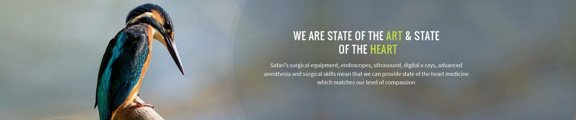 Veterinarians in League City, TX - Safari Veterinary Care Centers · Twitter