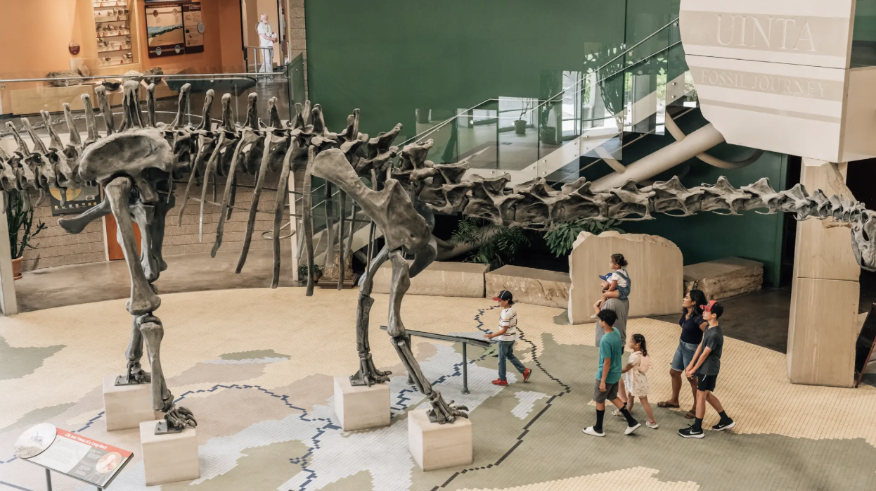 visit dinosaurland