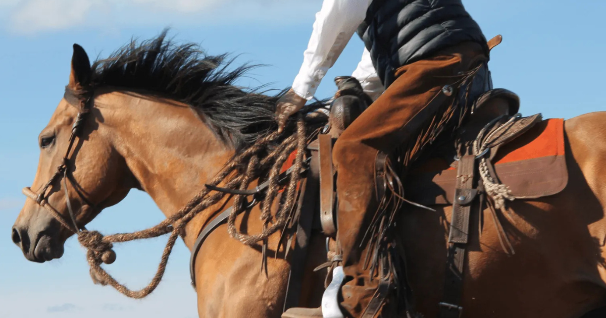 Saddle Right Custom Orthopedic Saddle Pads