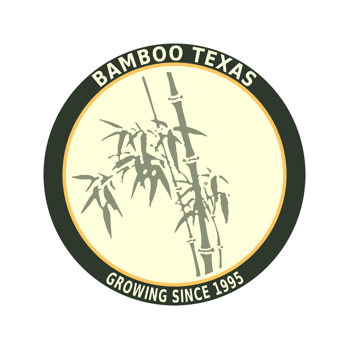 BAMBOOTEXAS.COM · Twitter