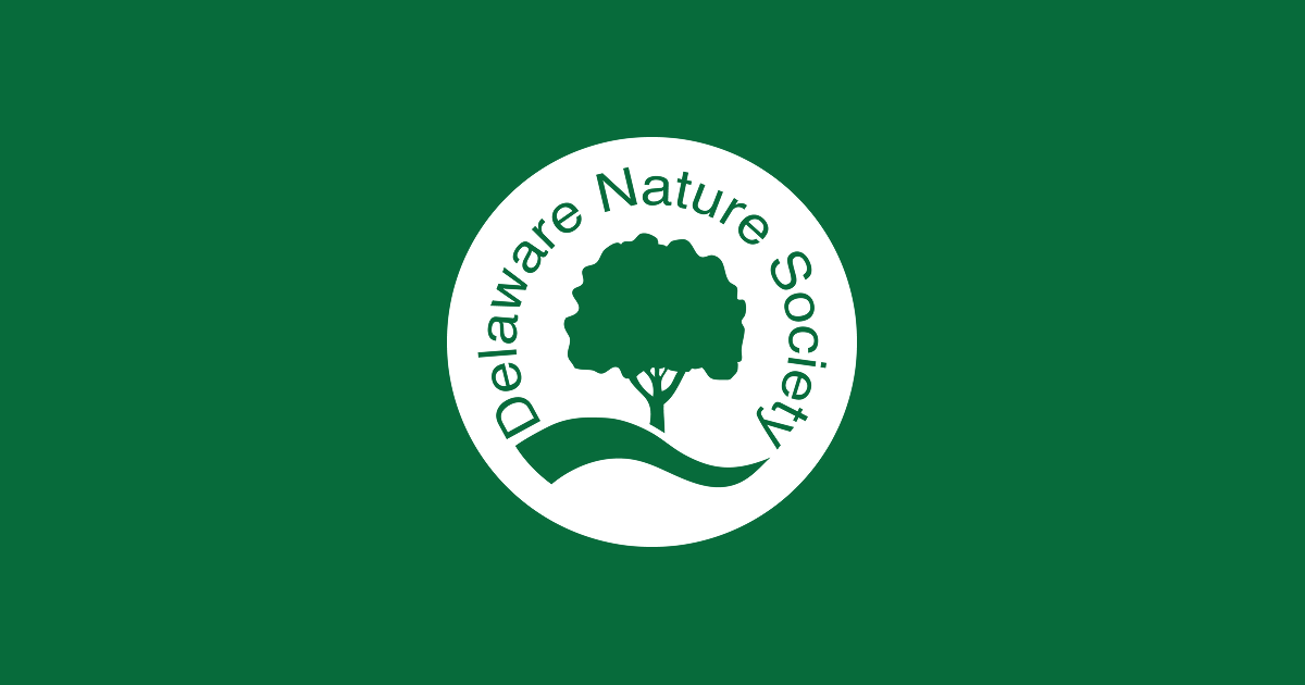 Connecting People with AND Nature | Delaware Nature Society · Twitter