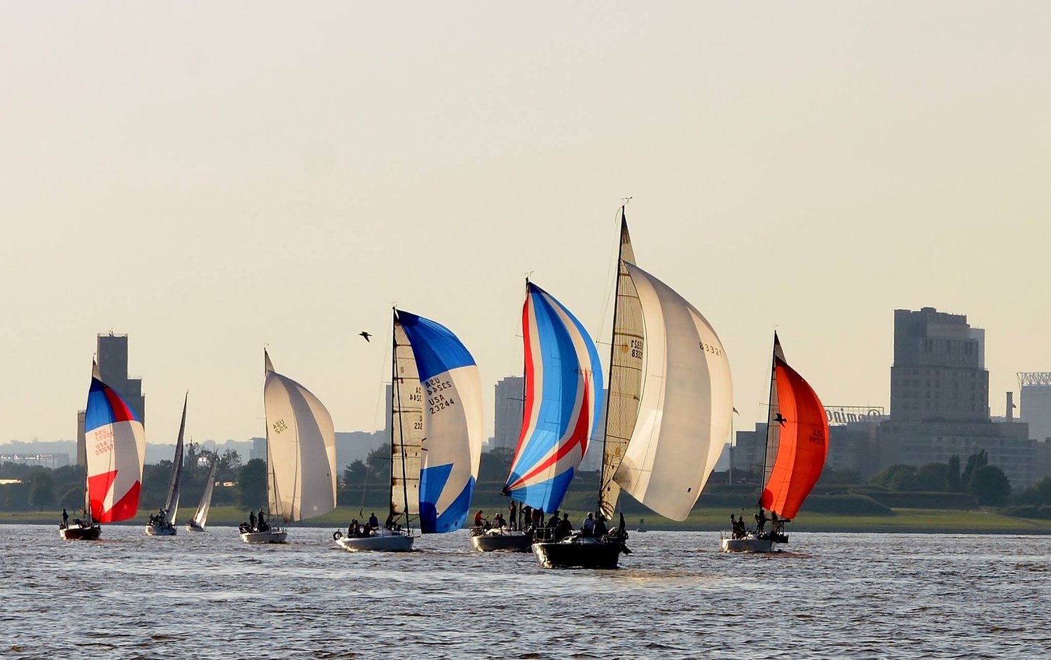 Baltimore City Yacht Association · Twitter