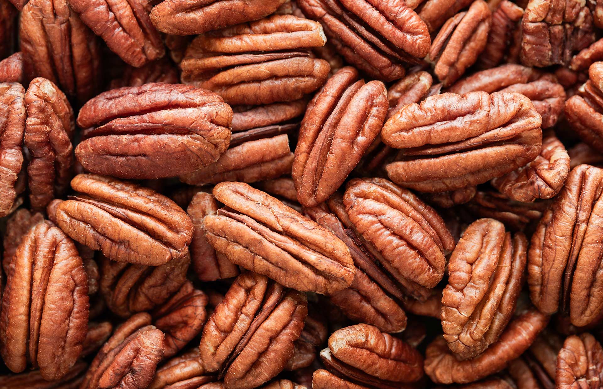 Kentucky Nut Corporation · Twitter