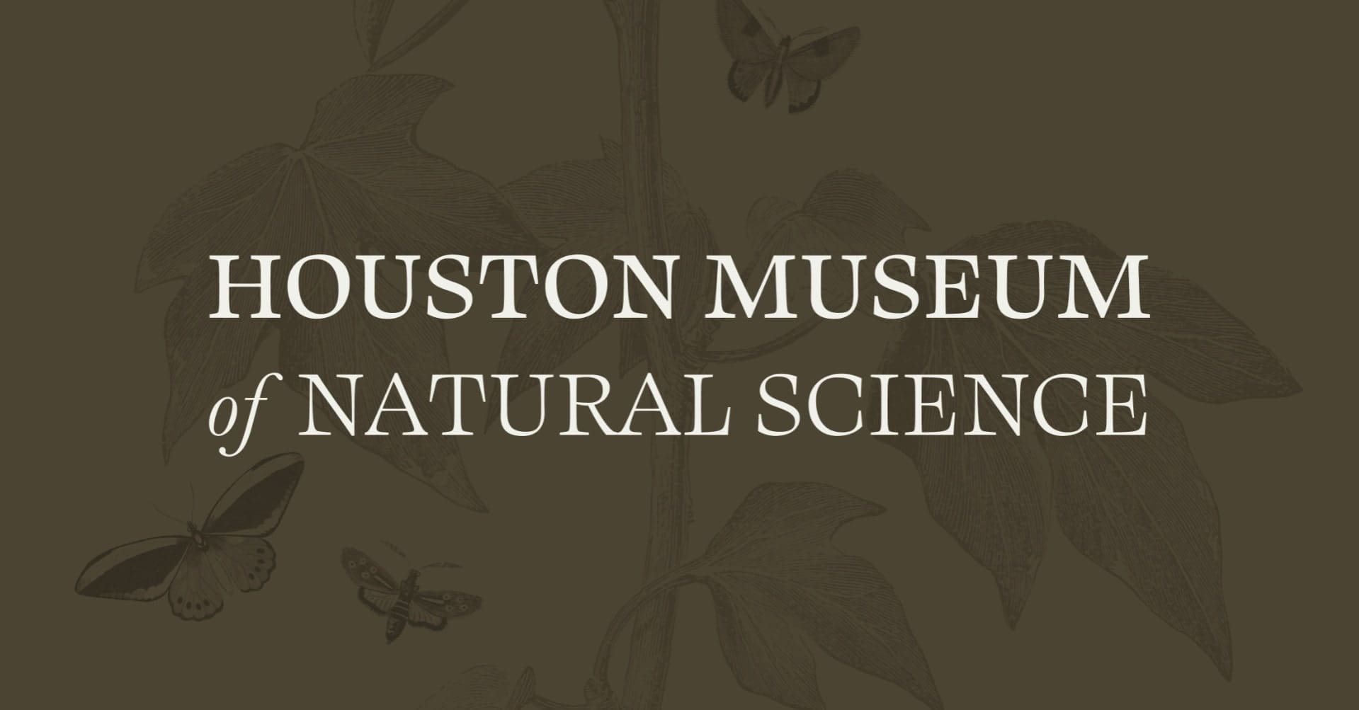 Houston Museum of Natural Science · Twitter