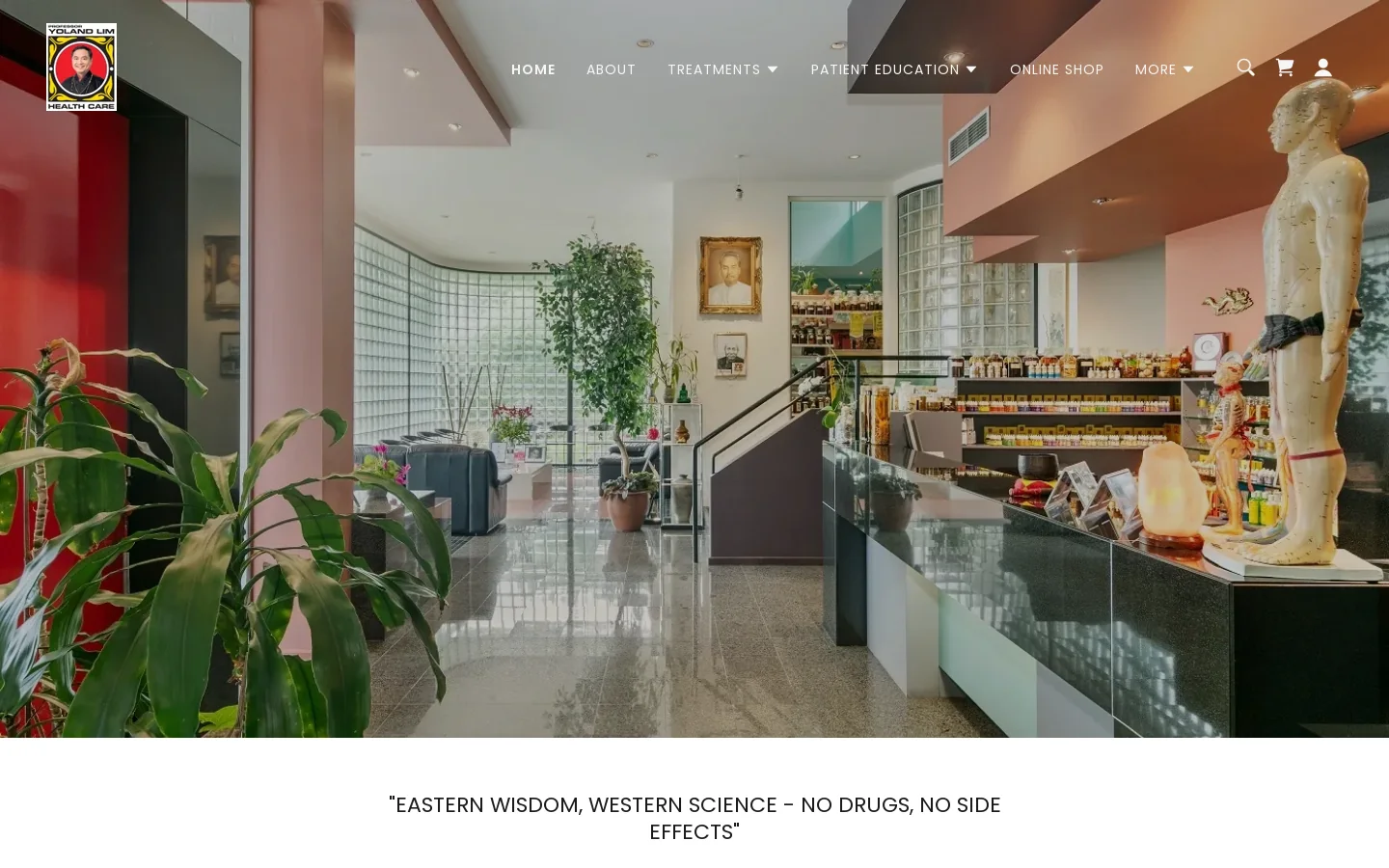 PROFESSOR YOLAND LIM HEALTH CARE - Acupuncture, Herbal Medicine Homepage screenshot