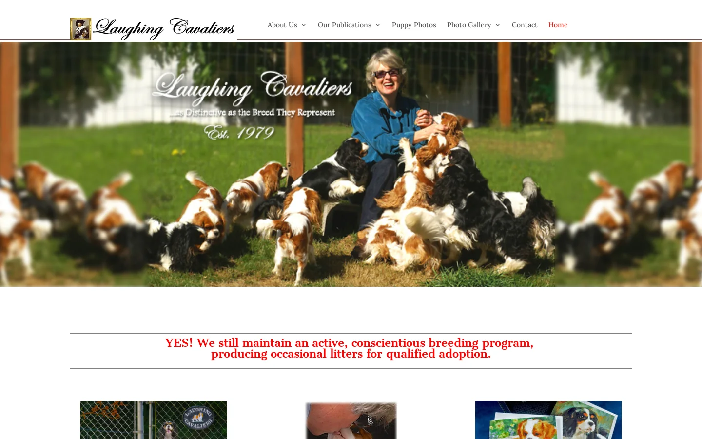 Welcome - The Laughing Cavaliers Homepage screenshot