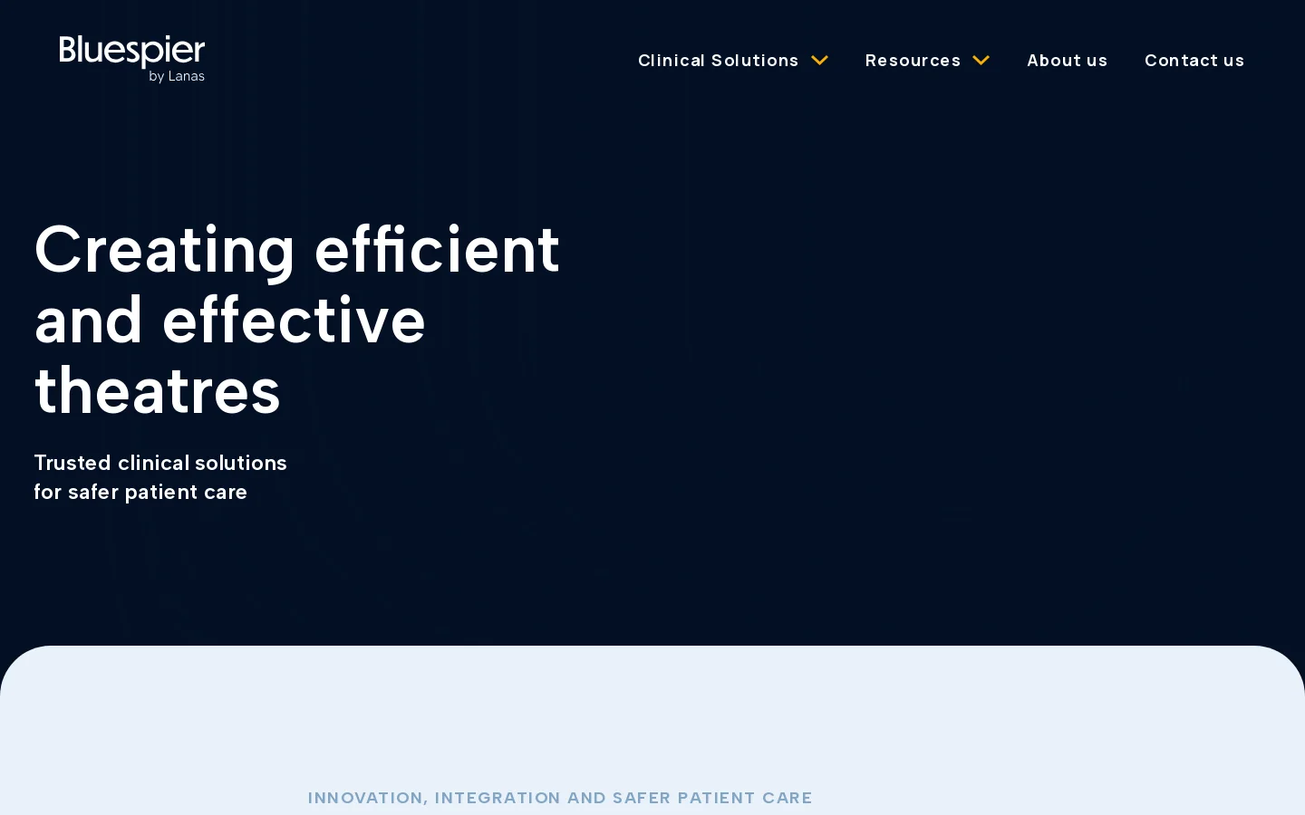 Bluespier Homepage screenshot
