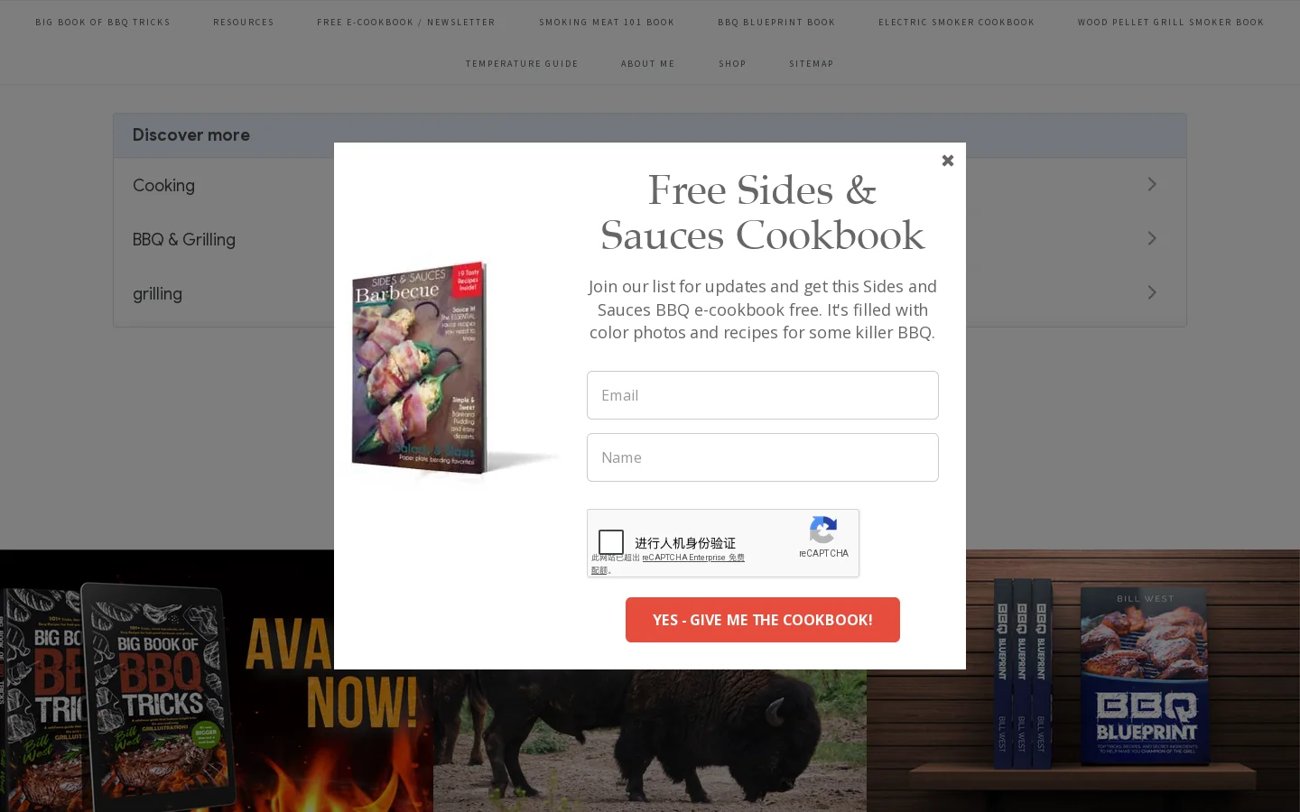 barbecuetricks.com Homepage screenshot