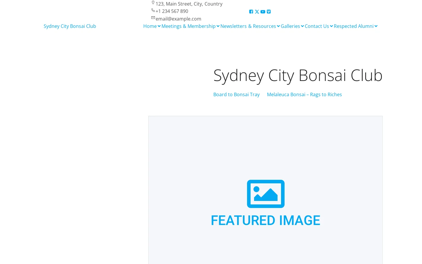 Sydney City Bonsai Club Homepage screenshot