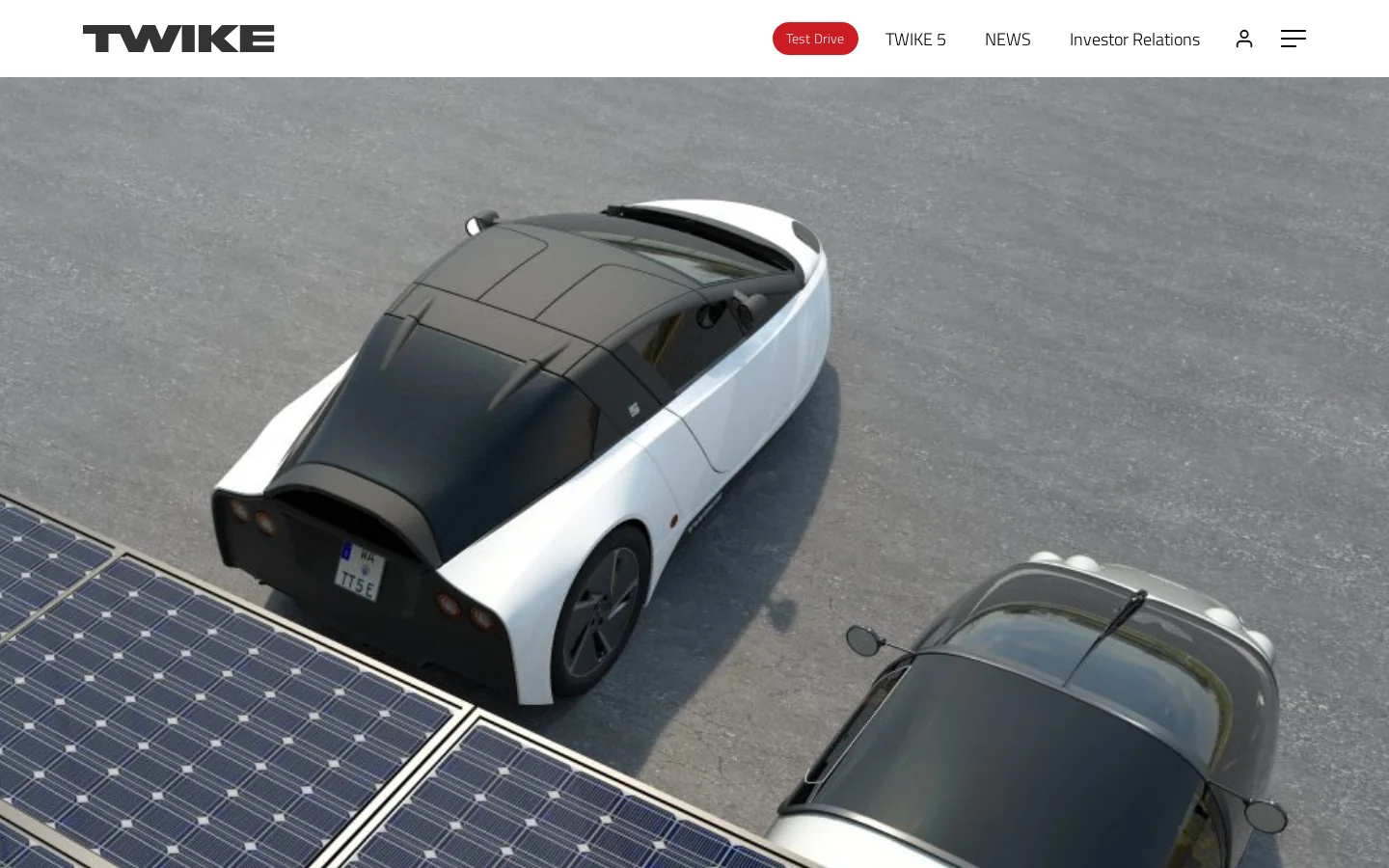 TWIKE Homepage screenshot