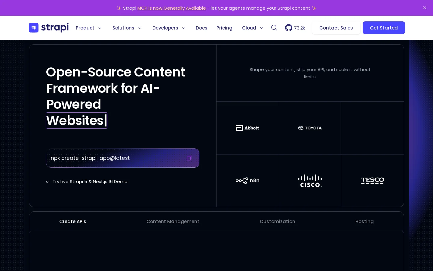 Strapi Homepage screenshot