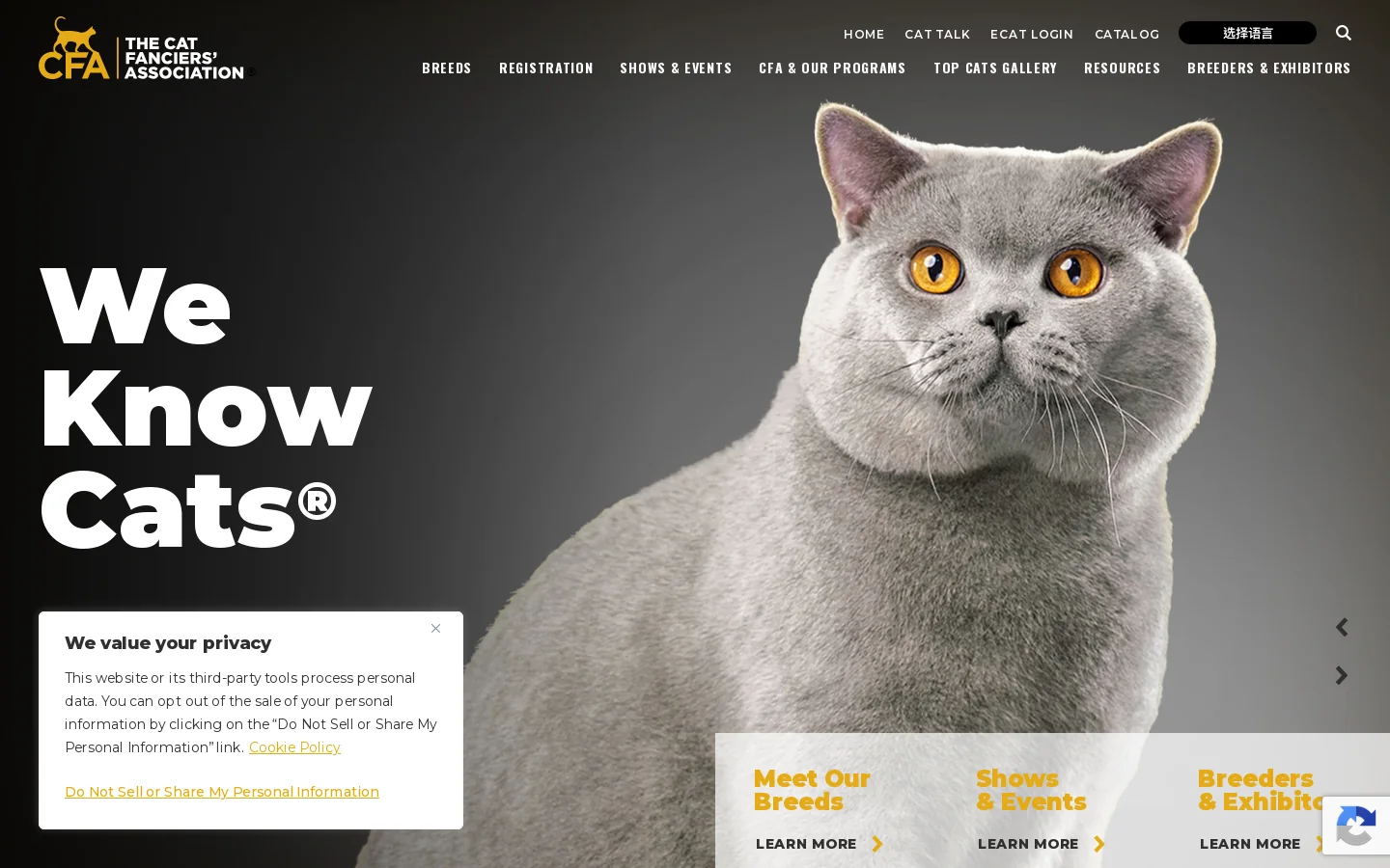 Home - The Cat Fanciers' Association Homepage screenshot