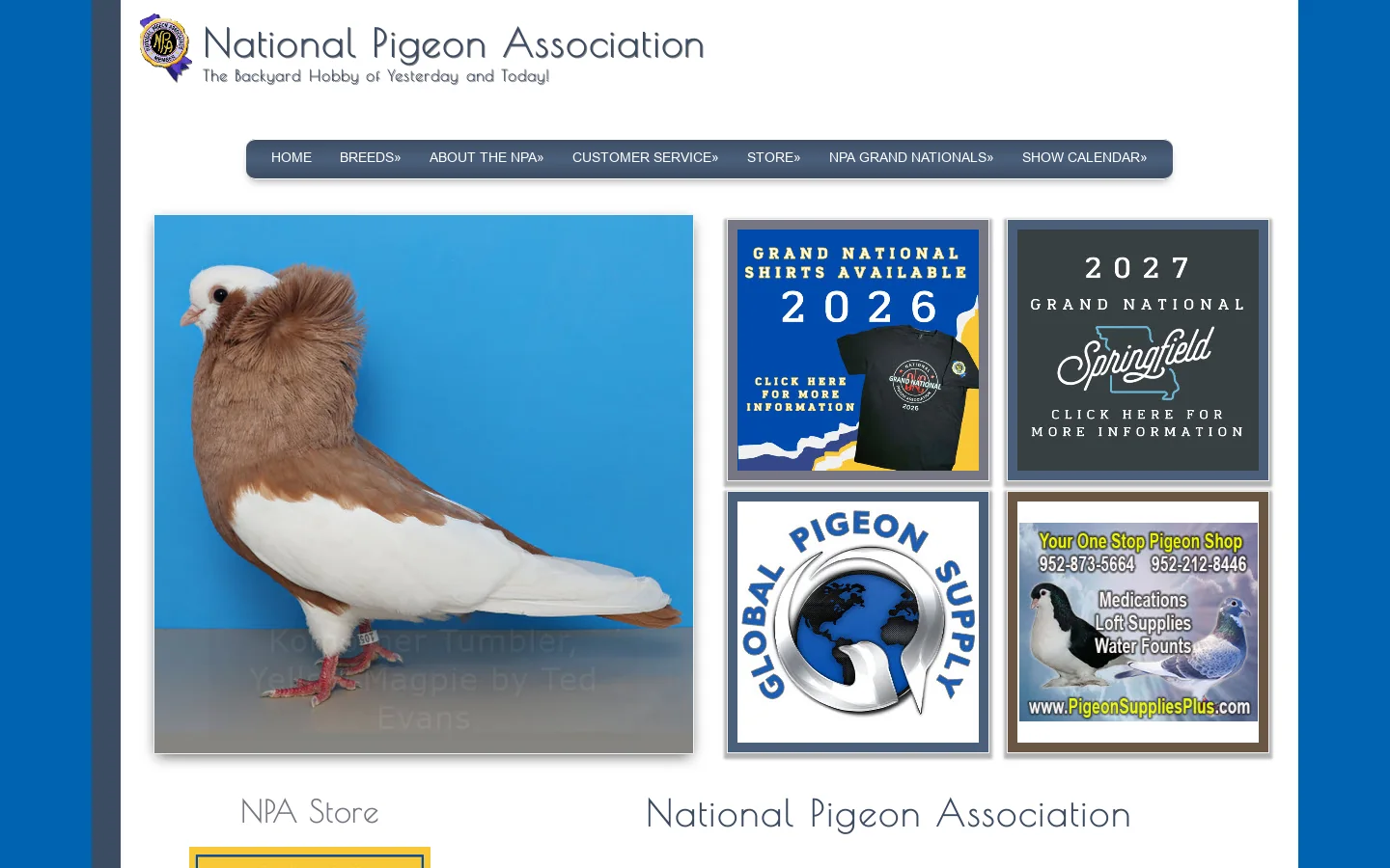 National Pigeon Association Homepage screenshot