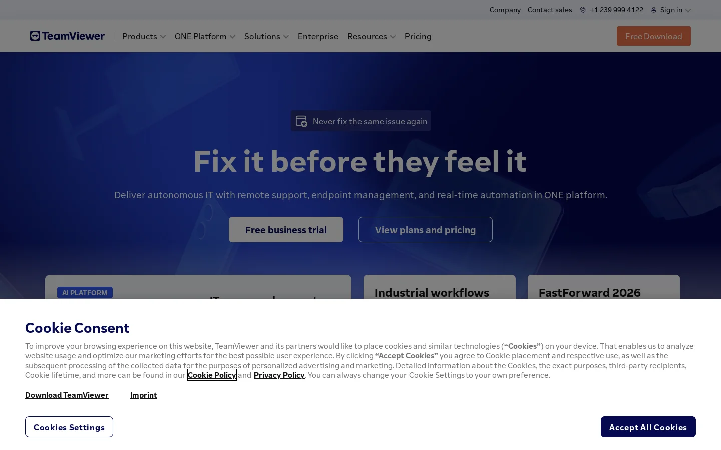 TeamViewer Homepage screenshot
