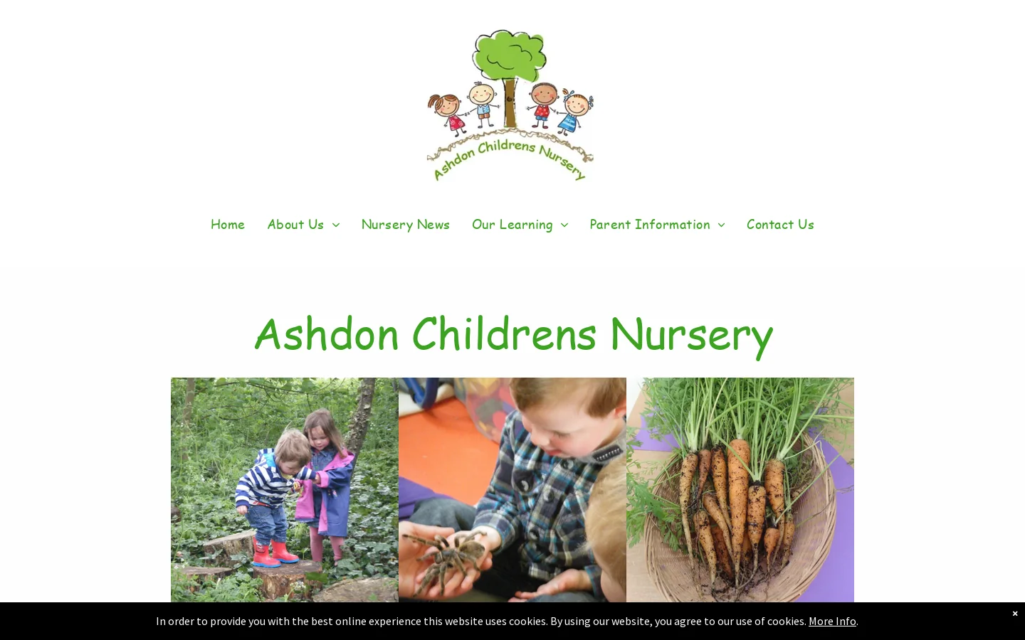 Ashdon Childrens Nursery Homepage screenshot