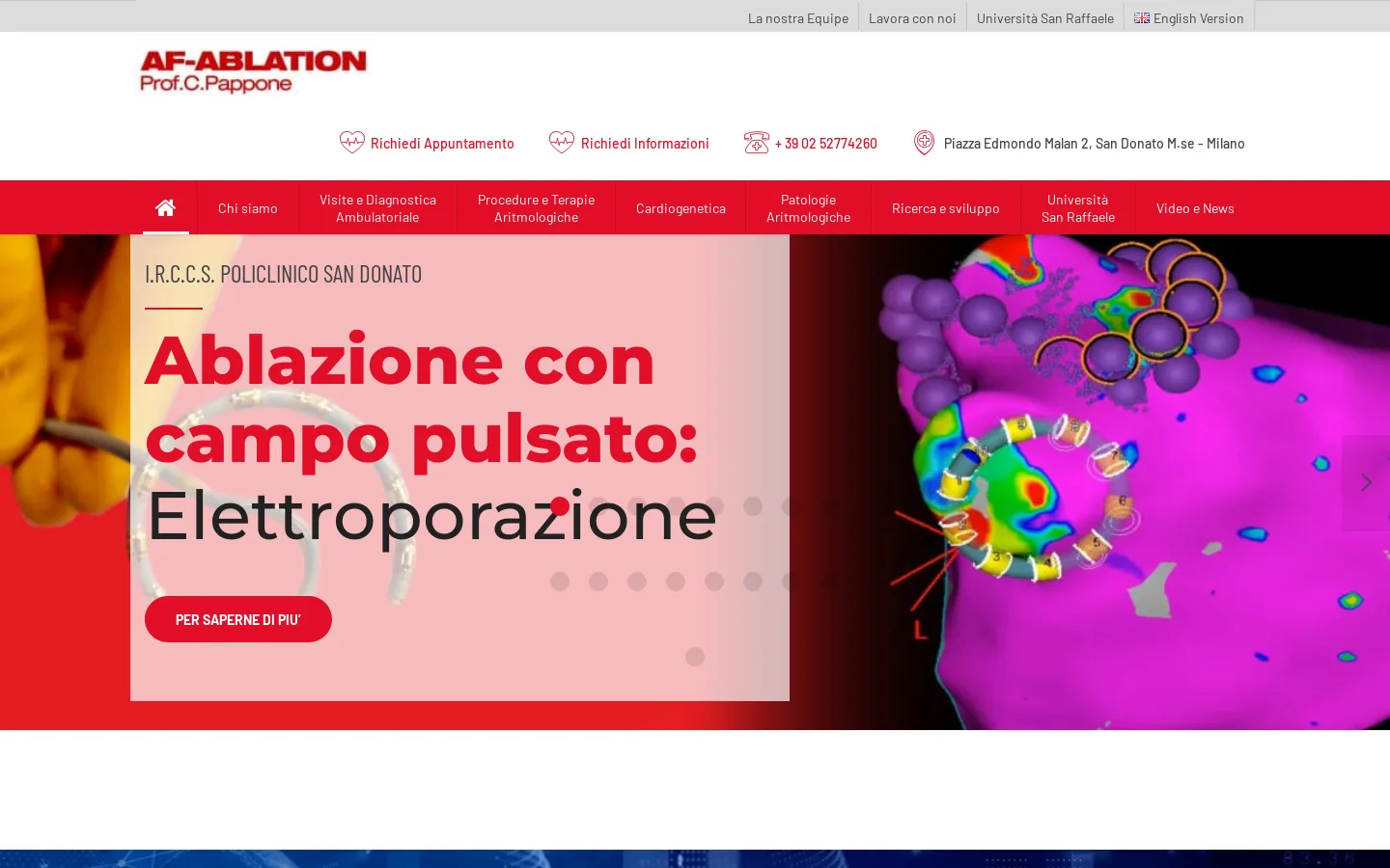 AF-ABLATION Homepage screenshot