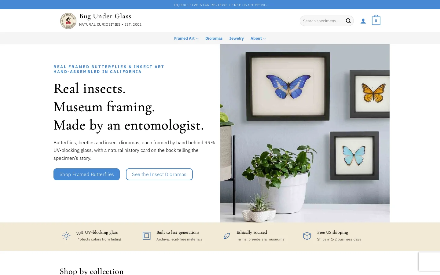 Bug Under Glass Homepage screenshot