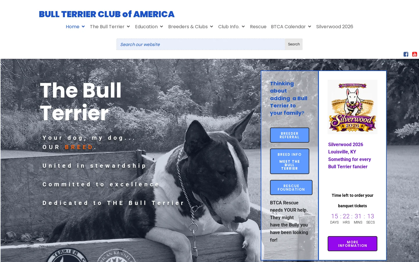 Home - BULL TERRIER CLUB of AMERICA Homepage screenshot