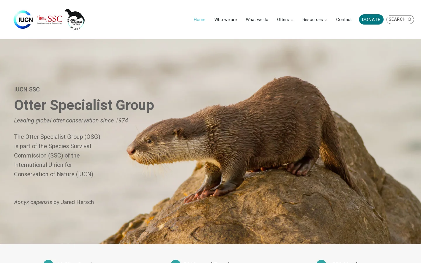 Home - IUCN SSC Otter Specialist Group Homepage screenshot