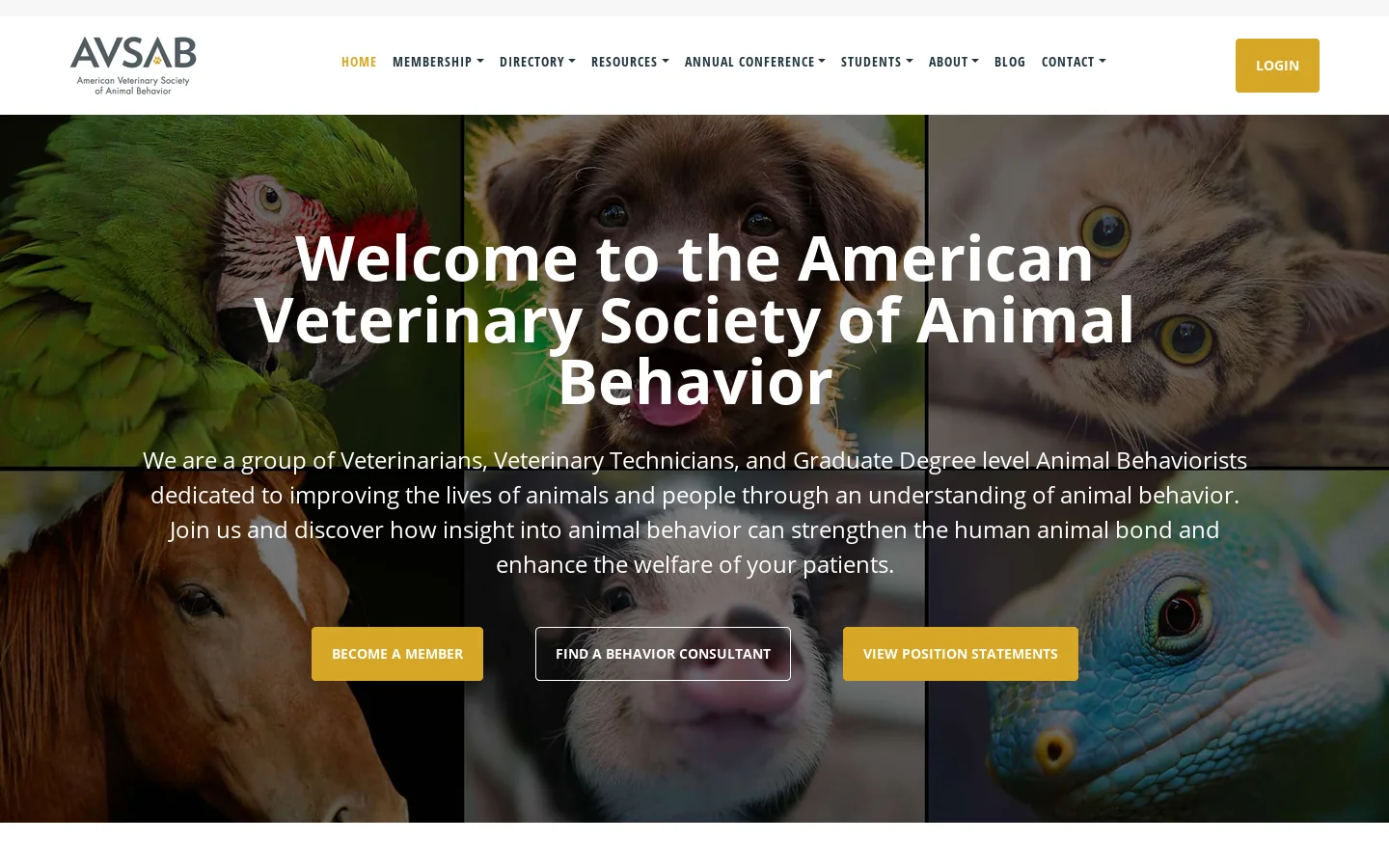 avsab.org Homepage screenshot