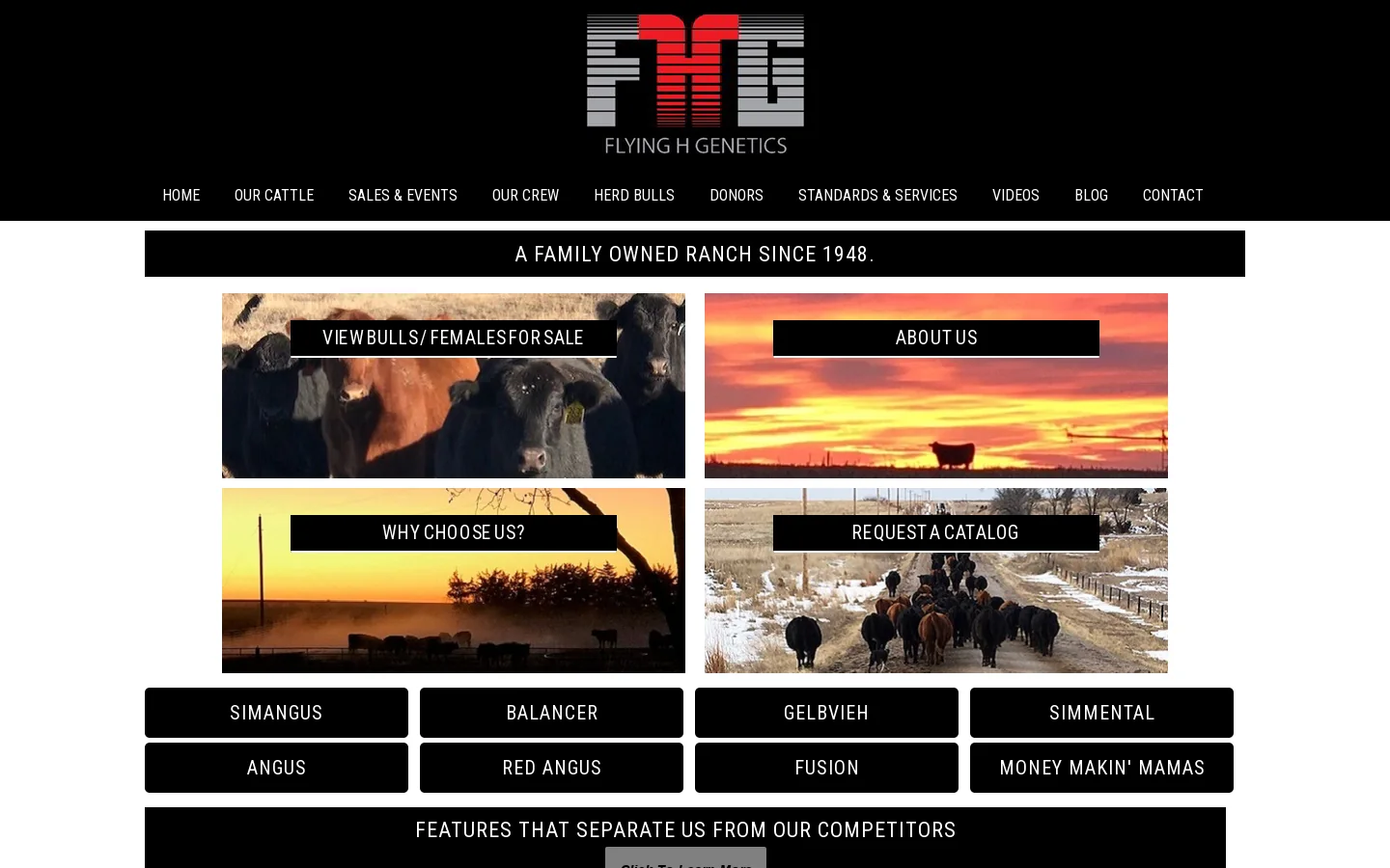 Flying H Genetics Homepage screenshot