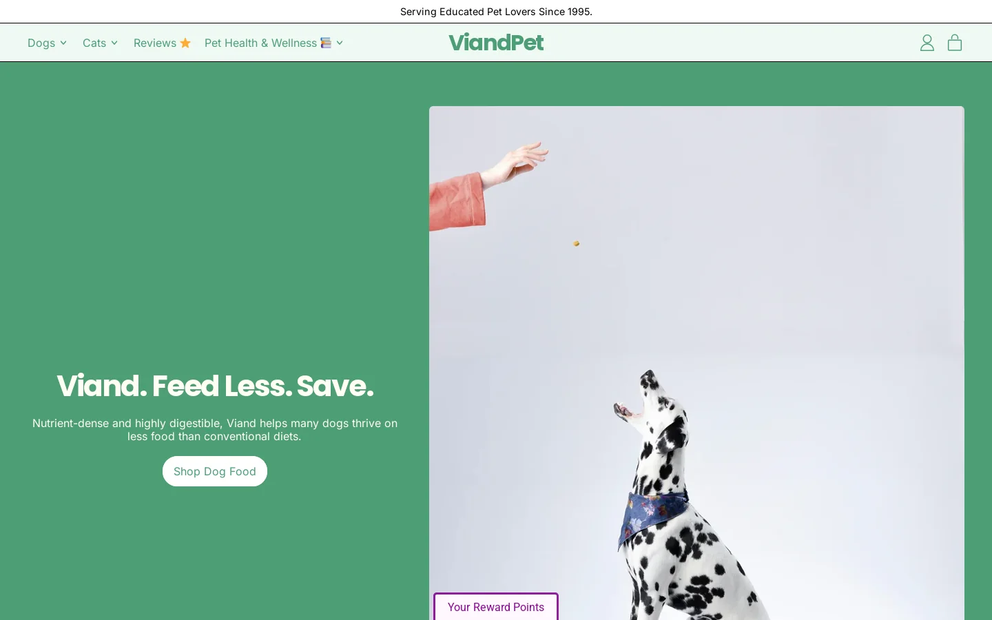 ViandPet Homepage screenshot