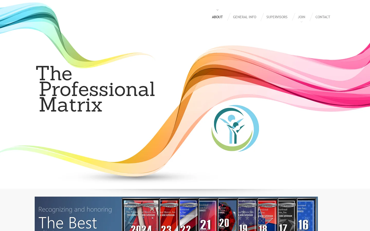 TheProfessionalMatrix.com Homepage screenshot