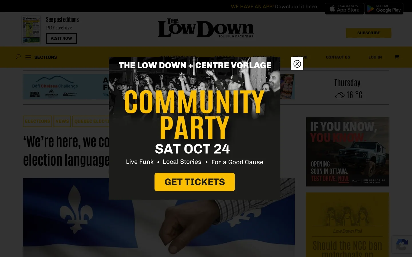 Home | The Low Down Homepage screenshot