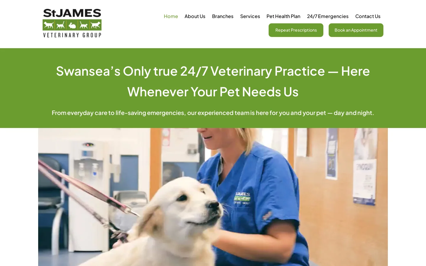 St James Veterinary Group Homepage screenshot