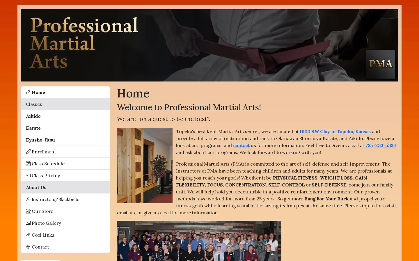 Professional Martial Arts · 785-233-5384 Homepage screenshot