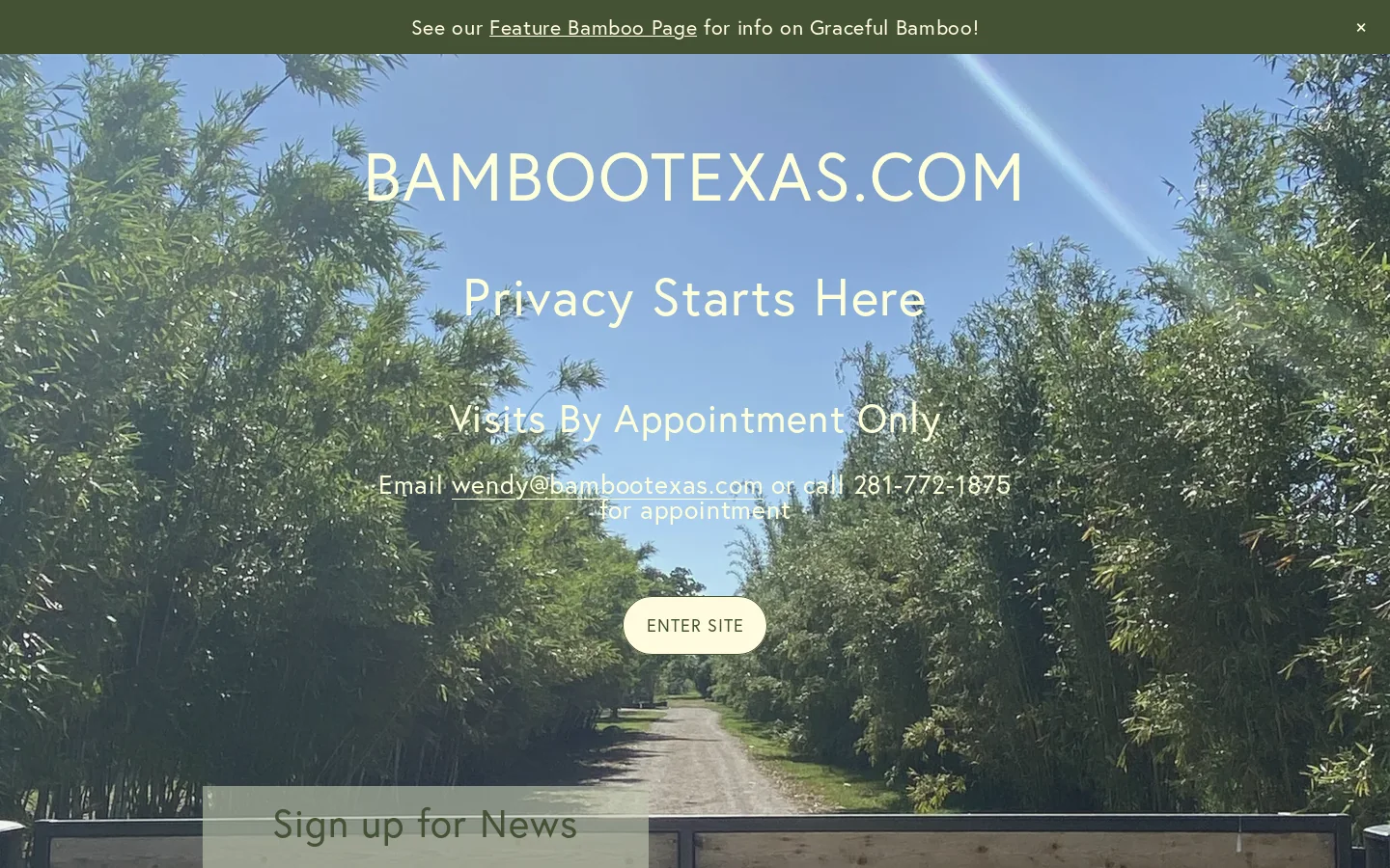 BAMBOOTEXAS.COM Homepage screenshot
