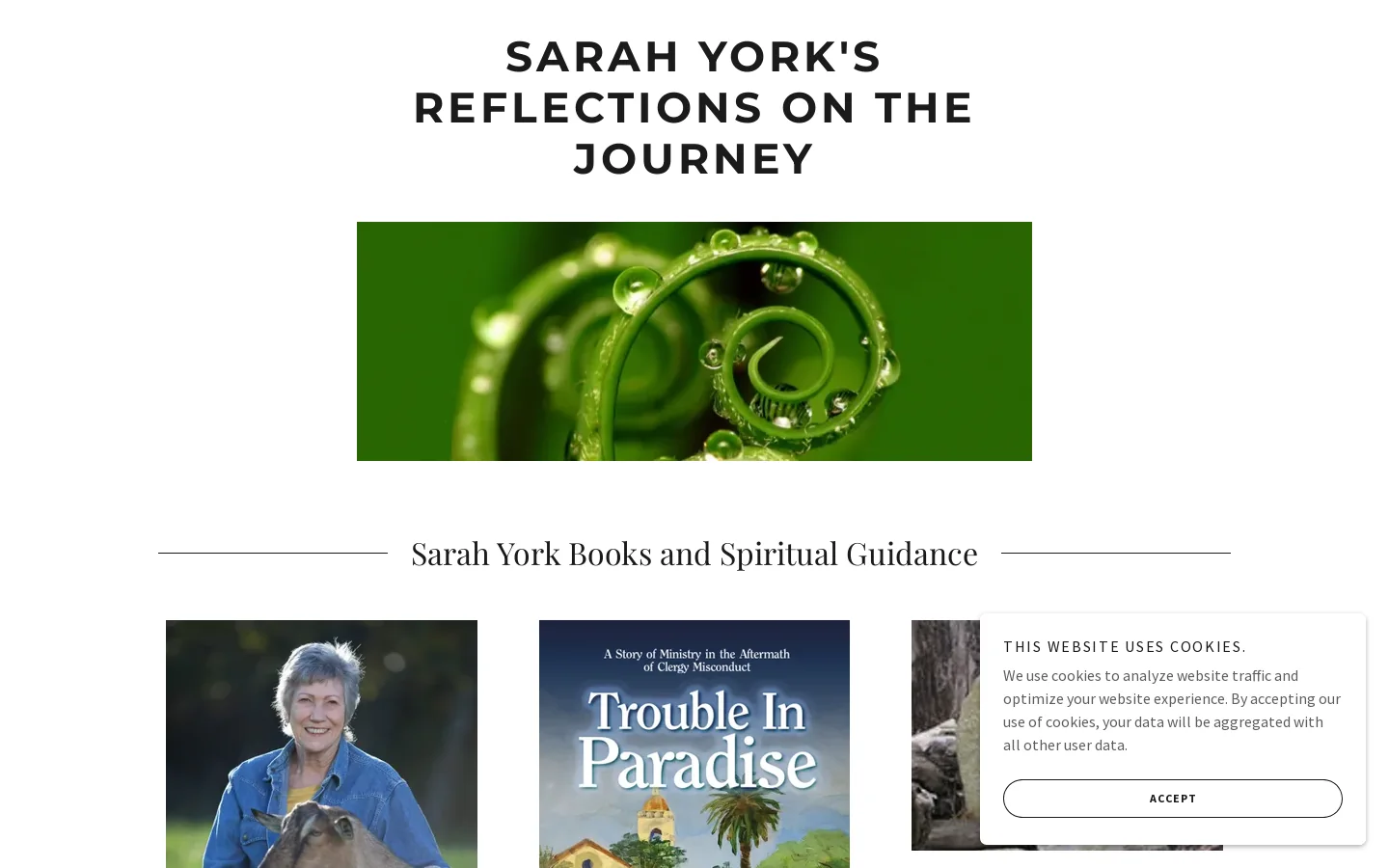 Sarah York's Reflections on the Journey Homepage screenshot
