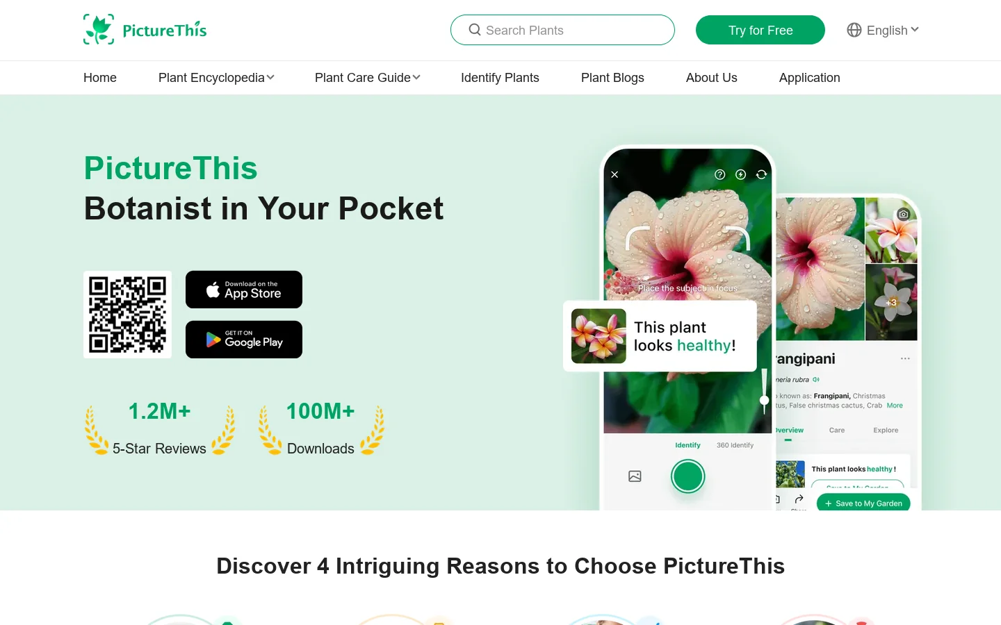 PictureThis - Plant Identifier App | Plant Identification Online Homepage screenshot