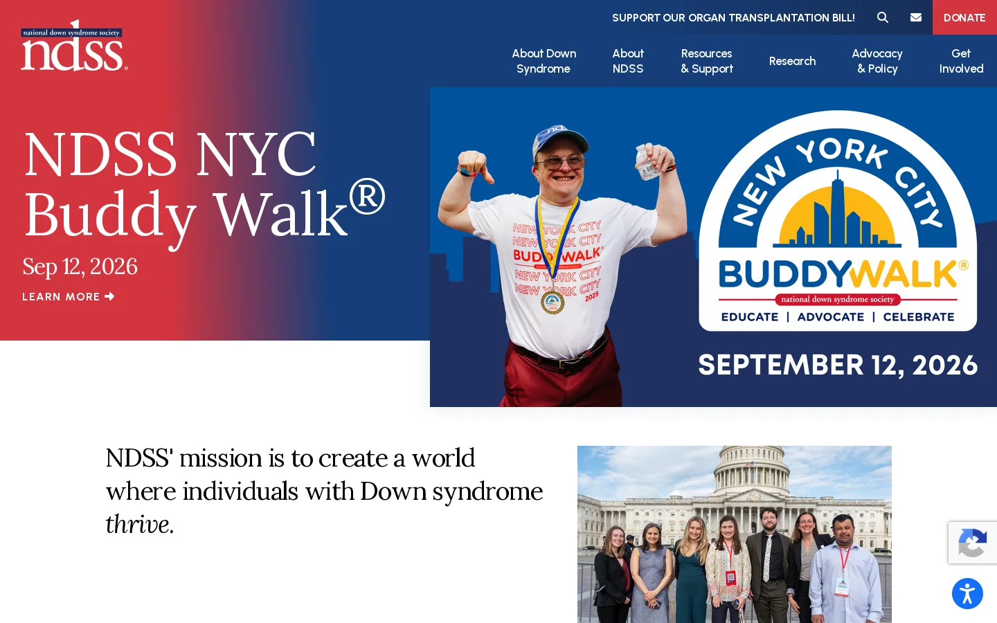 National Down Syndrome Society (NDSS) Homepage screenshot