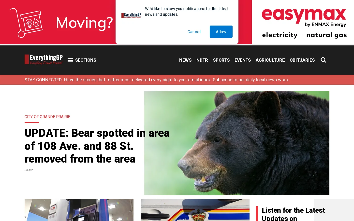EverythingGP Homepage screenshot