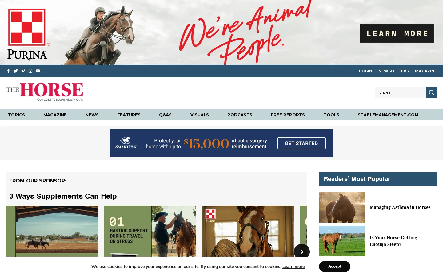 The Horse Homepage screenshot