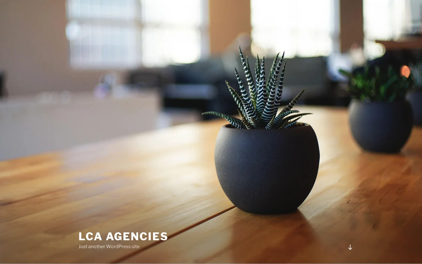 LCA Agencies - Just another WordPress site Homepage screenshot