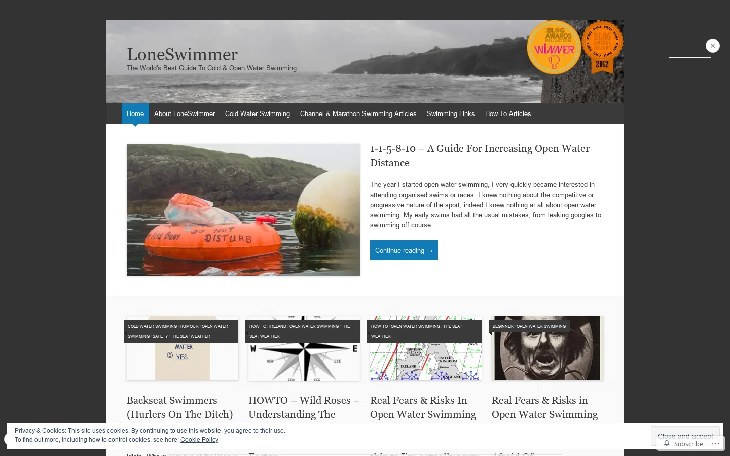 LoneSwimmer Homepage screenshot