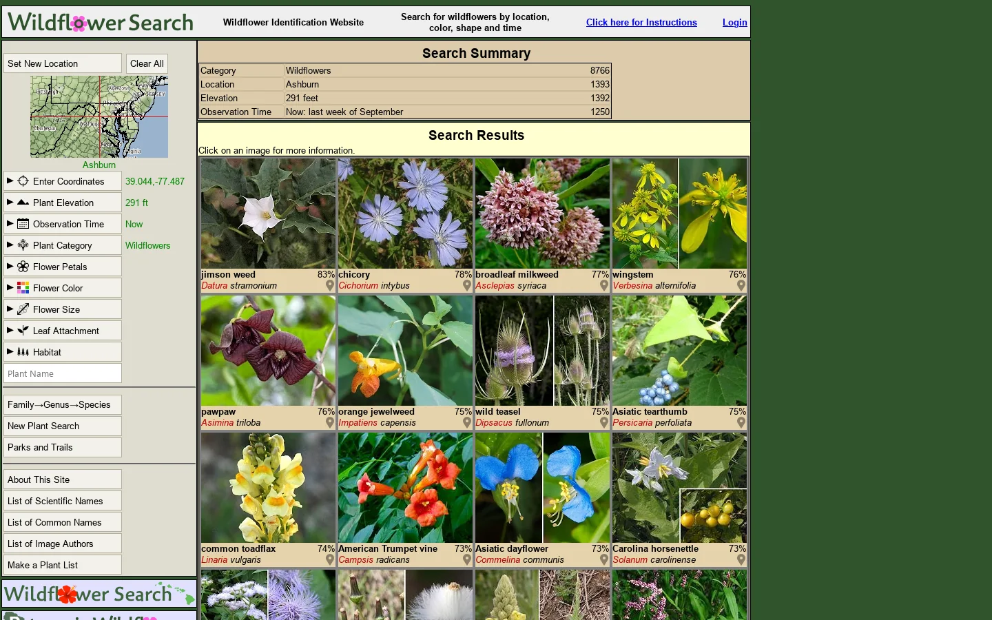 Wildflower Search Homepage screenshot