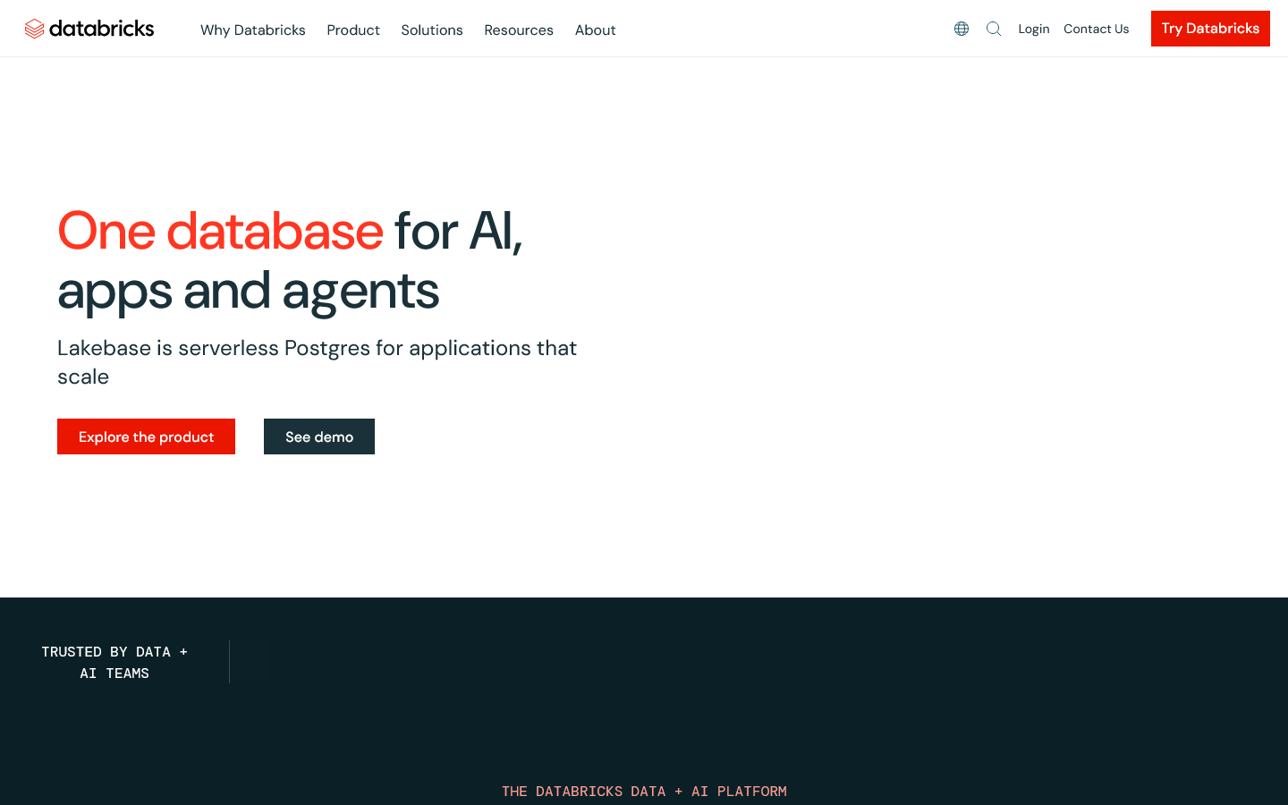 Databricks Homepage screenshot